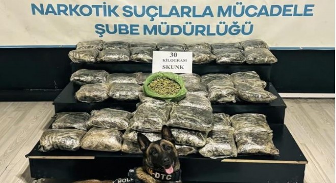 30 kilo Skunk ele geçirildi: 2 şüpheli gözaltında