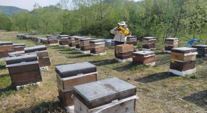 Arıcılar, SERKA desteğiyle bilgi ve becerilerini geliştiriyor