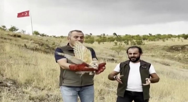 DKMP'dan yaban yaşamı hassasiyeti