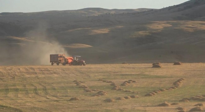 Doğu Anadolu’da hasat zamanı