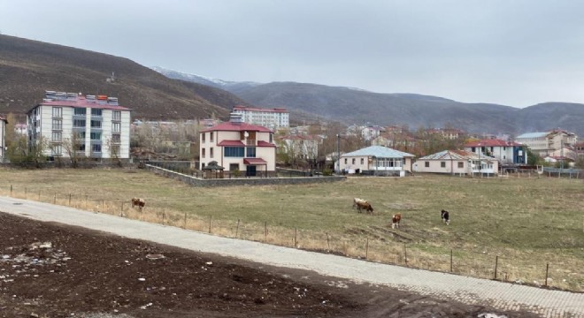 Doğu çiftçisi kar bekliyor