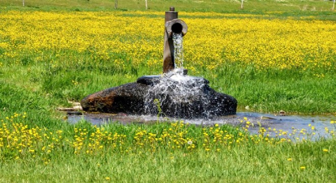 Doğu da tarımsal arazilerin yüzde 68 i ekiliyor