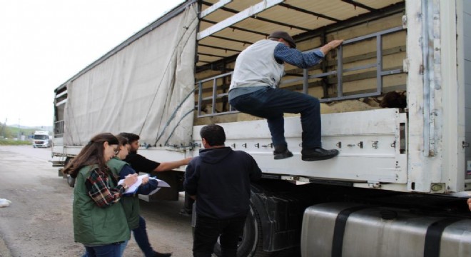 Doğu’dan Büyükşehirlere kurbanlık sevkiyatı başladı