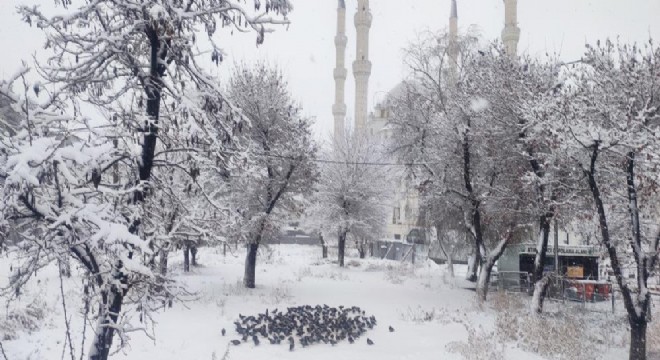 Doğu’dan kış günceli