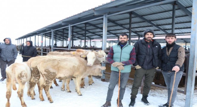 Eksi 15’de hayvan pazarı kuruldu