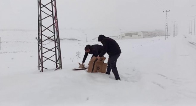 Emniyetten merhamet operasyonu