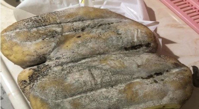 Erzurum Karın Kaymağı coğrafi işaret sürecinde