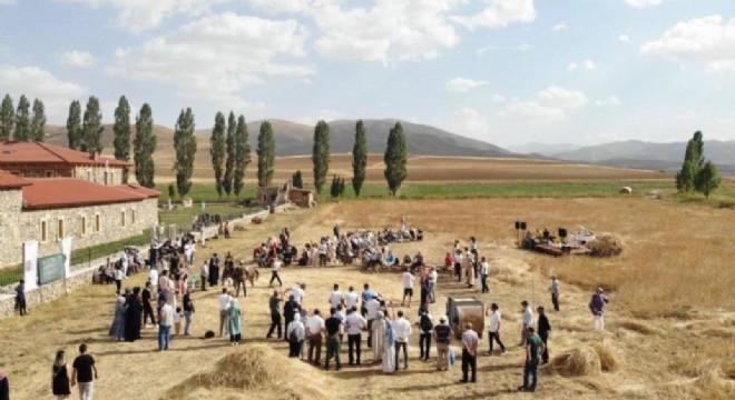 Harman festivali renkli görüntülere sahne oldu