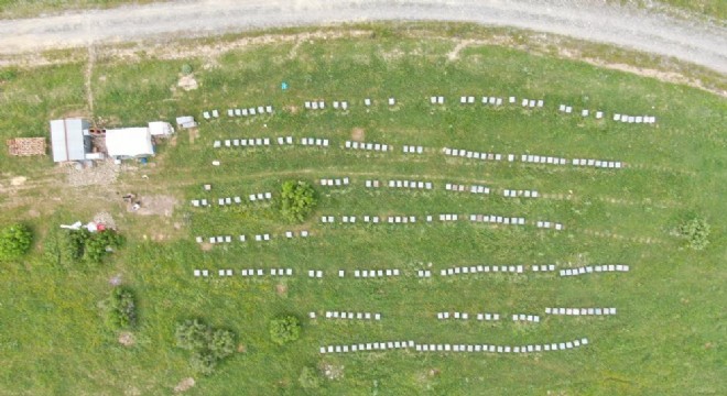 Hınıs’tan Kulp’a arıcılık köprüsü