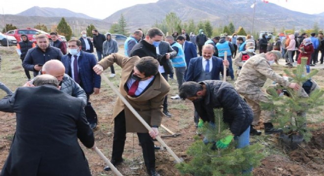 İspir de ağaçlandırma seferberliği