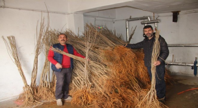 Oltu’da 15 bin fidan dağıtımı yapıldı