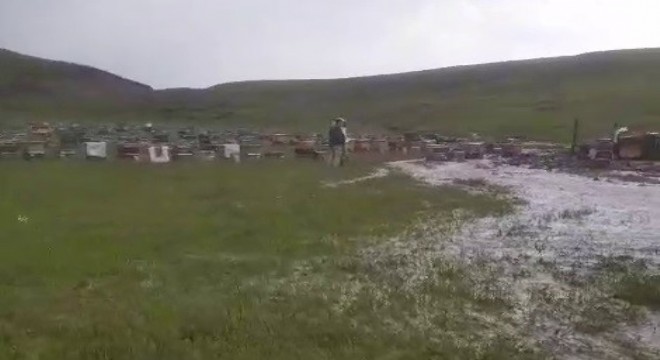 Sel ve dolu arı kovanlarını vurdu