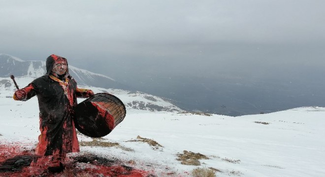 Şiddete karşı ilgi çekici tepki