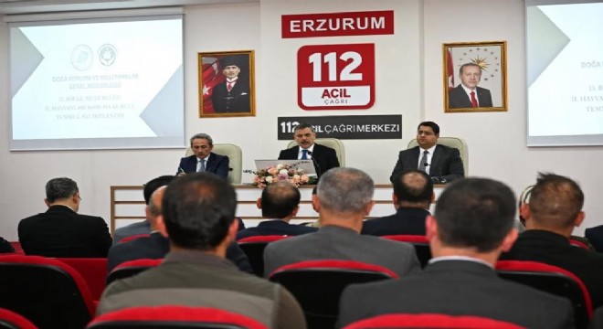 Sokak hayvanları mercek altında