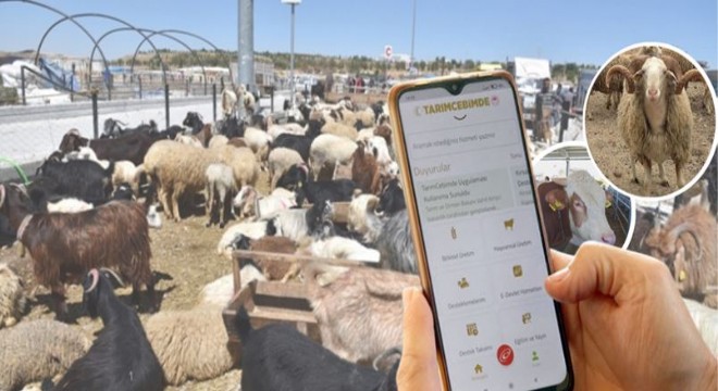 TOB Kurban bayramı tedbirlerini paylaştı