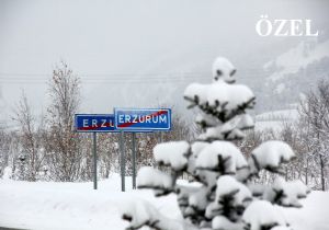 Erzurum 11 ayda 90 marka çıkardı