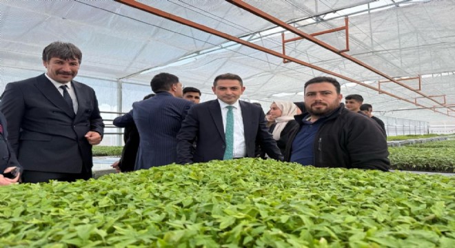 Tarım Lisesi fide üretimine DAP BKİ desteği