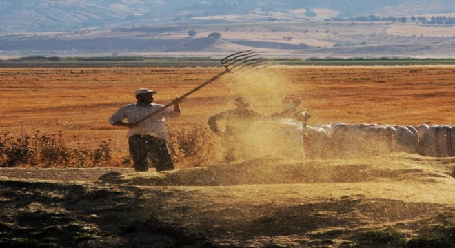 Tarım-ÜFE yıllık yüzde 60,77 arttı