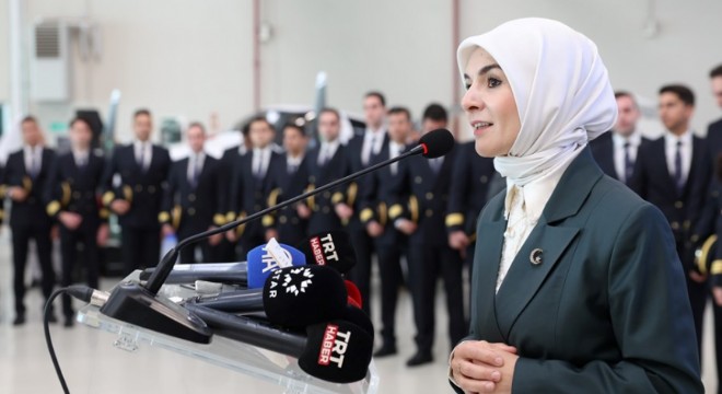 ‘Türkiye’de Kadına Yönelik Şiddet Araştırması’