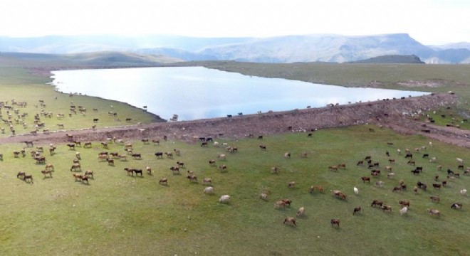 Yeşilyayla göletinde geri sayım