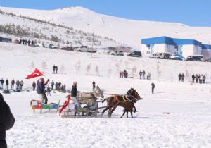 Çıldır Gölü nde Altın At şahlandı