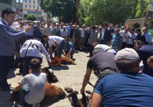 Horasan’da şükür kurbanı kesildi