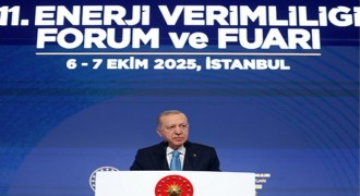 'Enerjide tam bağımsız Türkiye'