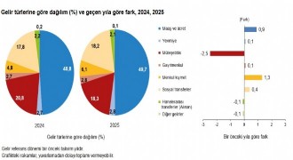 2025 yılı Gelir Dağılımı İstatistikleri açıklandı