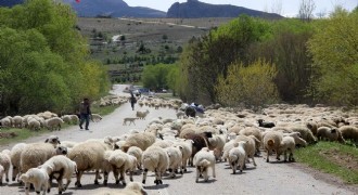 Doğu Anadolu'daki göçerler dönüş yolunda