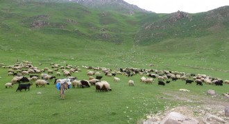 Doğu’da yaylalara göç vakti