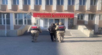 Hayvan hırsızları tutuklandı