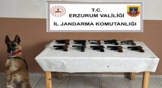 Jandarmadan silah operasyonu