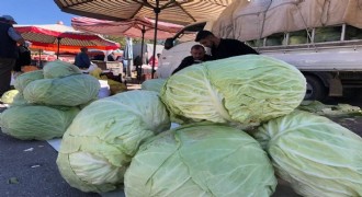 Kışlık sebzede 'Söğütlü' damgası