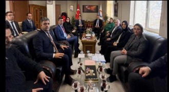 Tekman'dan Çat'a proje köprüsü