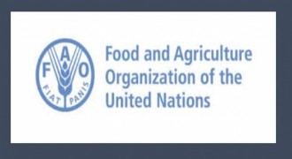 Türkiye FAO Konseyi üyeliğine seçildi