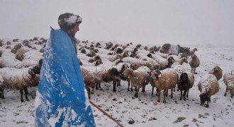 Yaylalardan köylere uzanan zorlu kış mesaisi