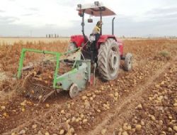 Ülkede 43, Doğu’da 3’üncüyüz