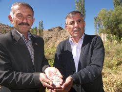 Yanıktaşlılar tanıtım bekliyor